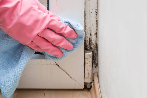 Best Crawl Space Mold Remediation in Lipscom, AL